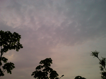 20100519_003.jpg