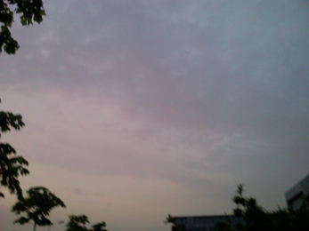 20100519_004.jpg