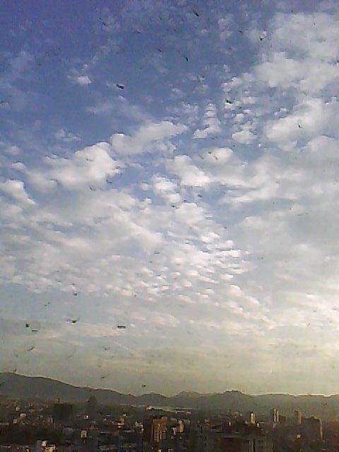 DSC-0011.jpg