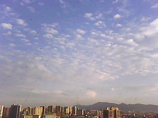 DSC-0010.jpg
