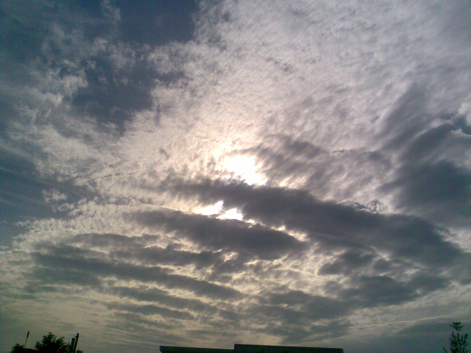 20100527.jpg