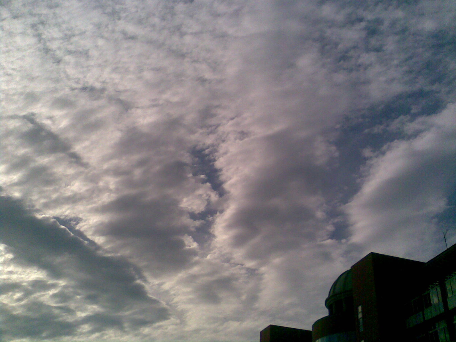 20100527(008).jpg