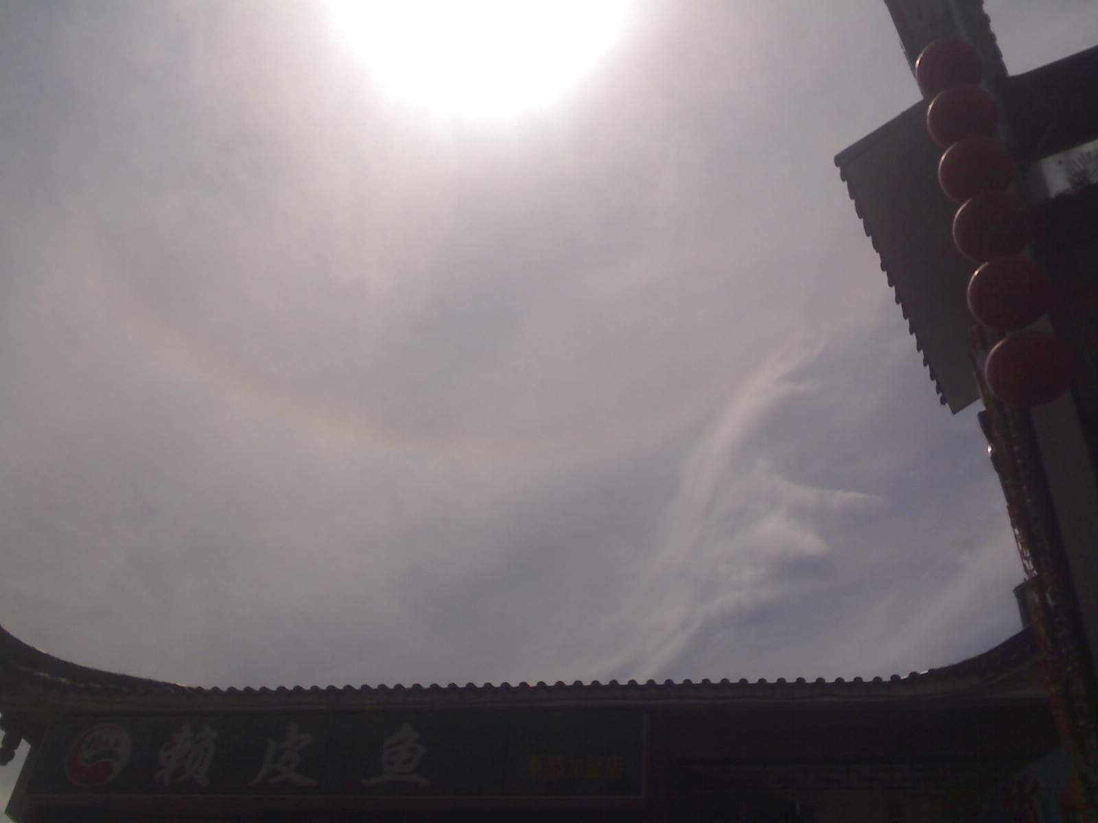 这2张是16.15拍的!!!