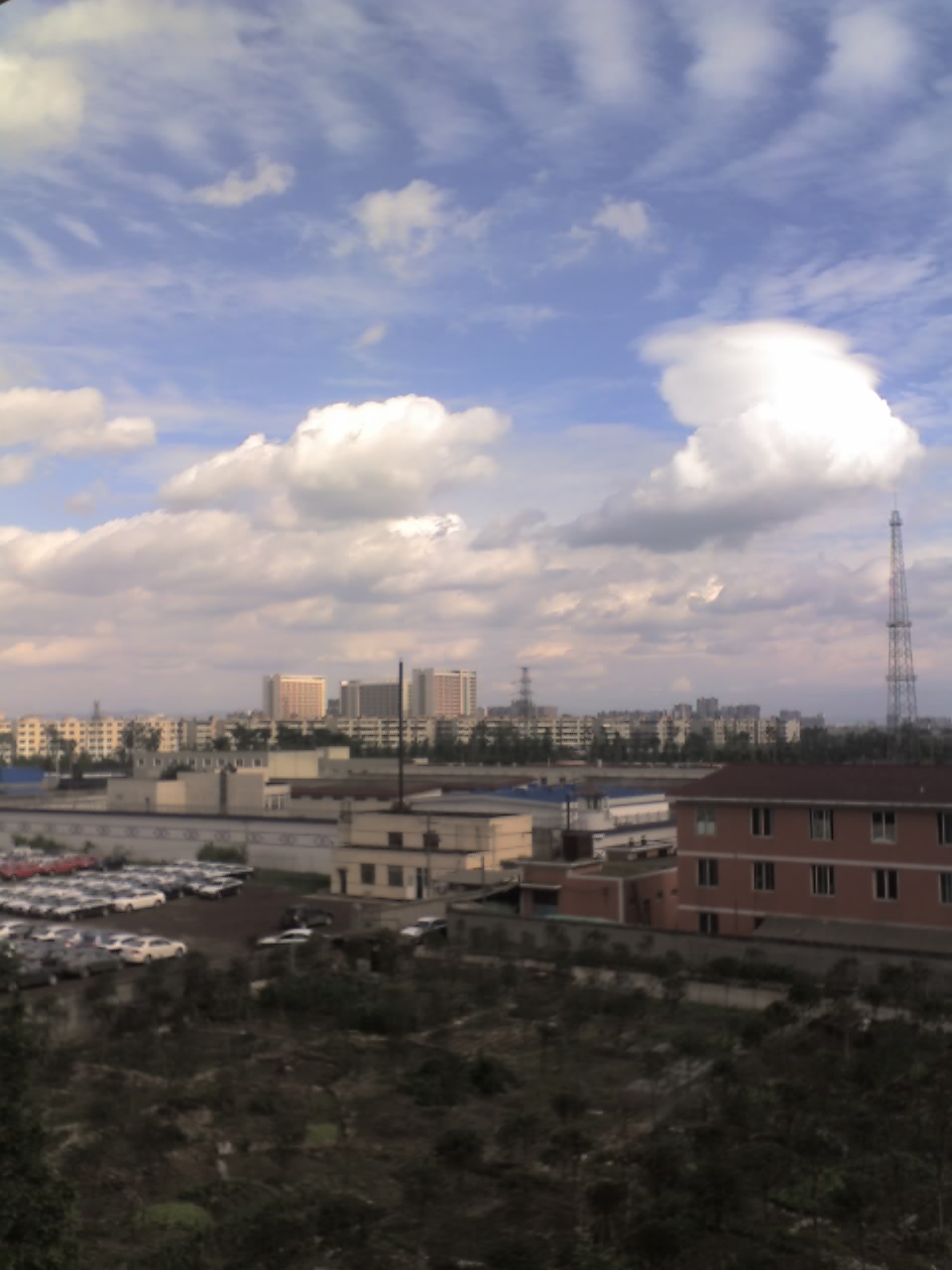 01-06-10_1637.jpg
