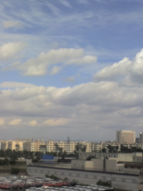 01-06-10_1638.jpg