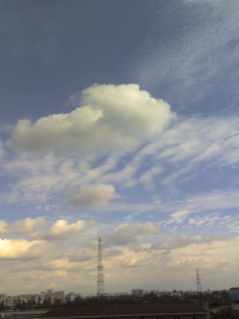 01-06-10_1644.jpg