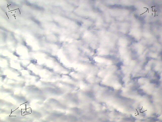 IMG0091As.JPG
