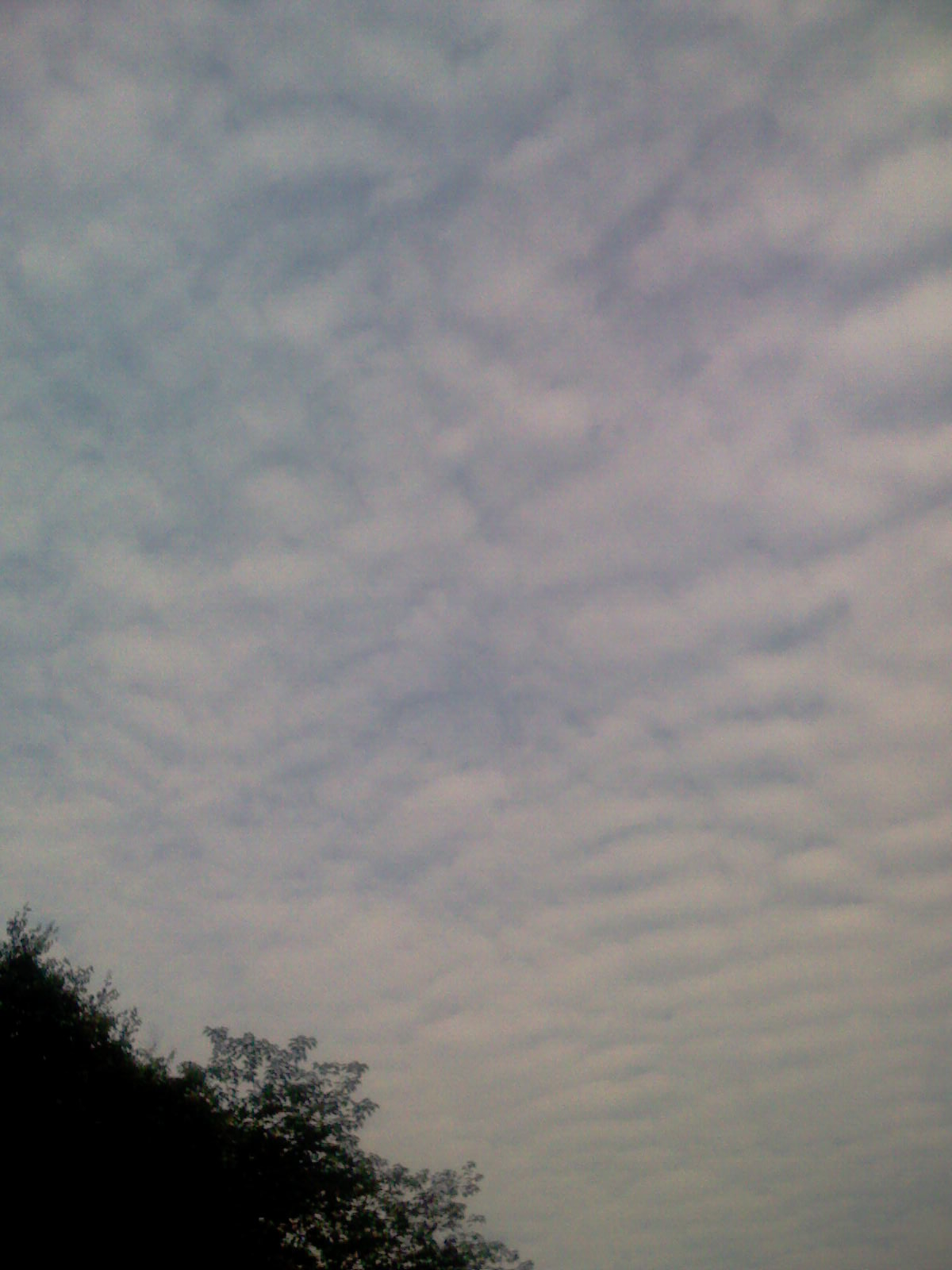 IMAG0207.jpg