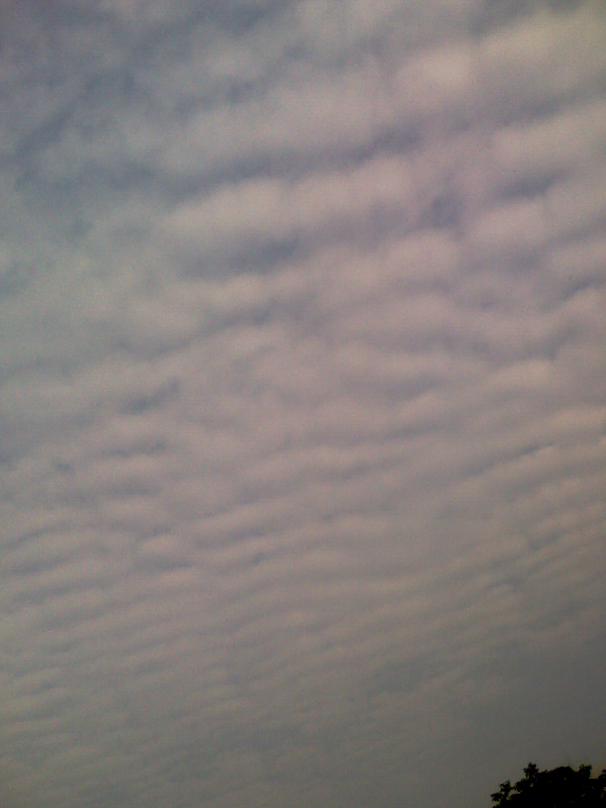 IMAG0208.jpg