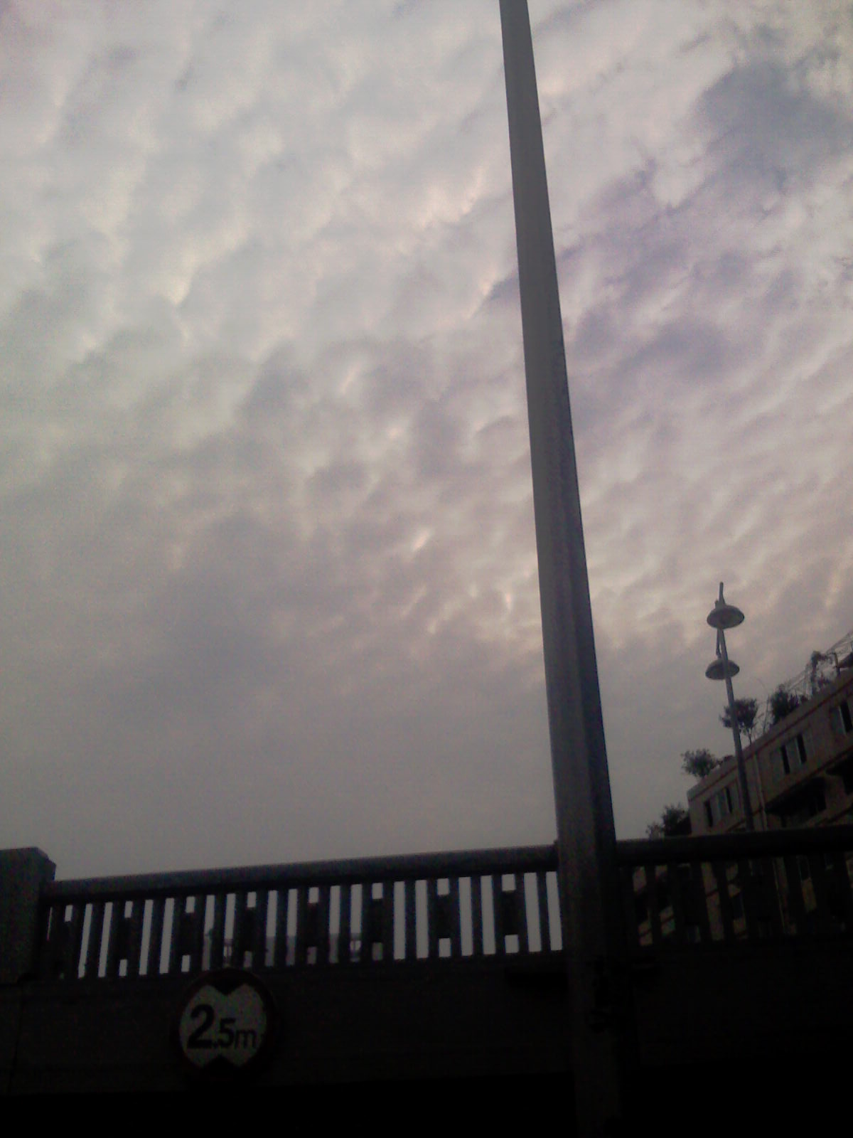IMAG0209.jpg