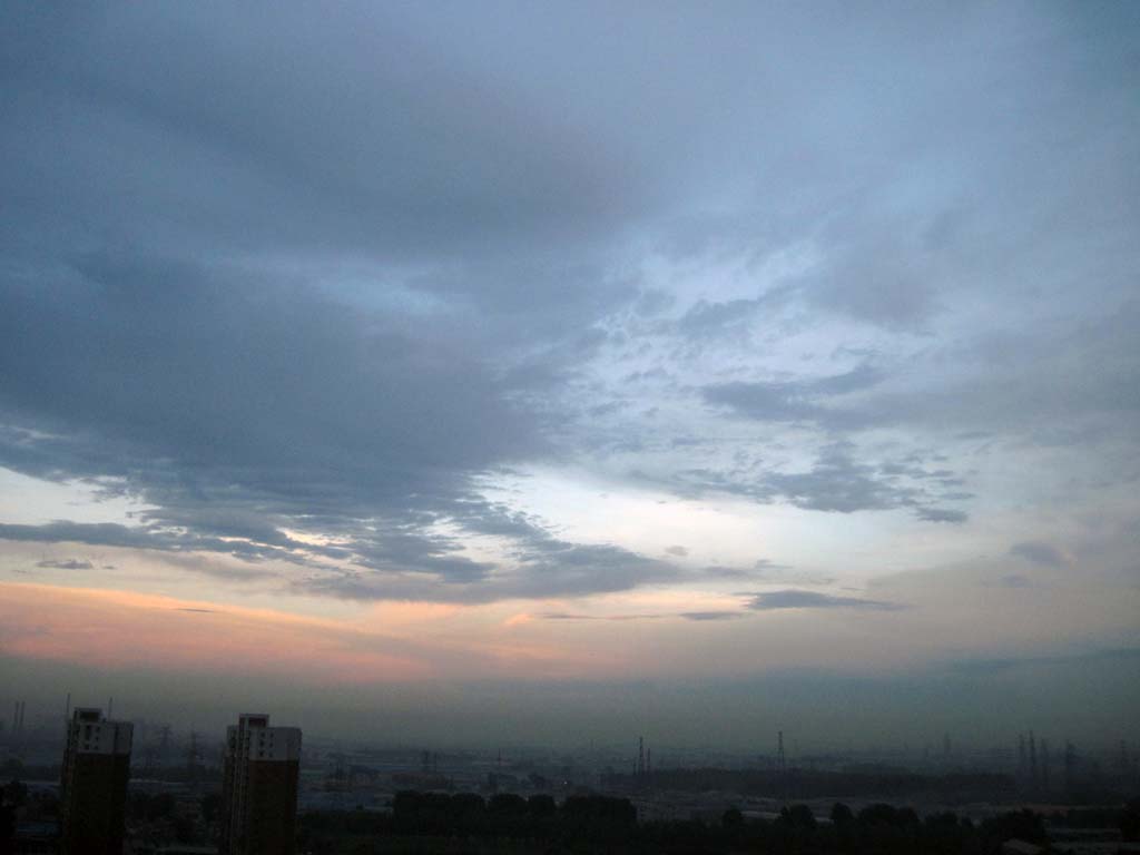IMG_3653.JPG