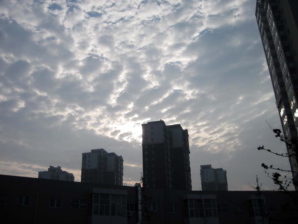IMG_3656.JPG