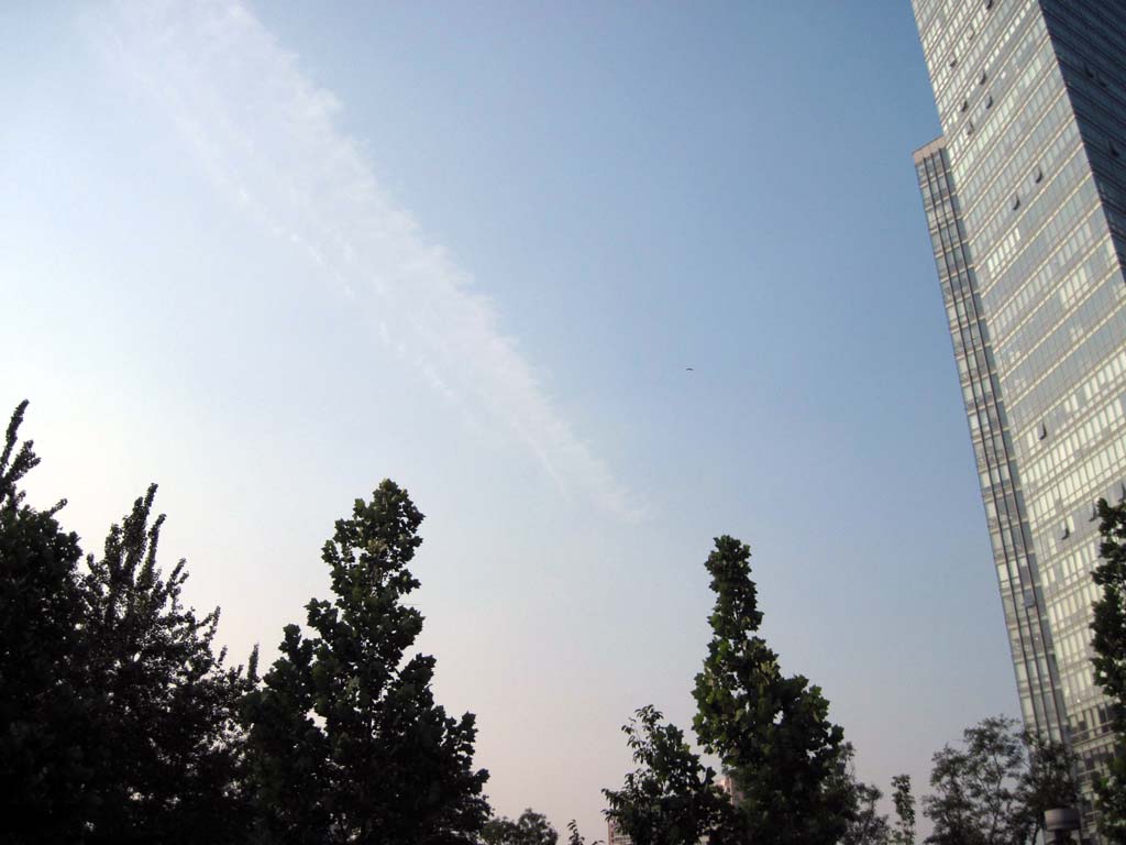 IMG_3681.JPG