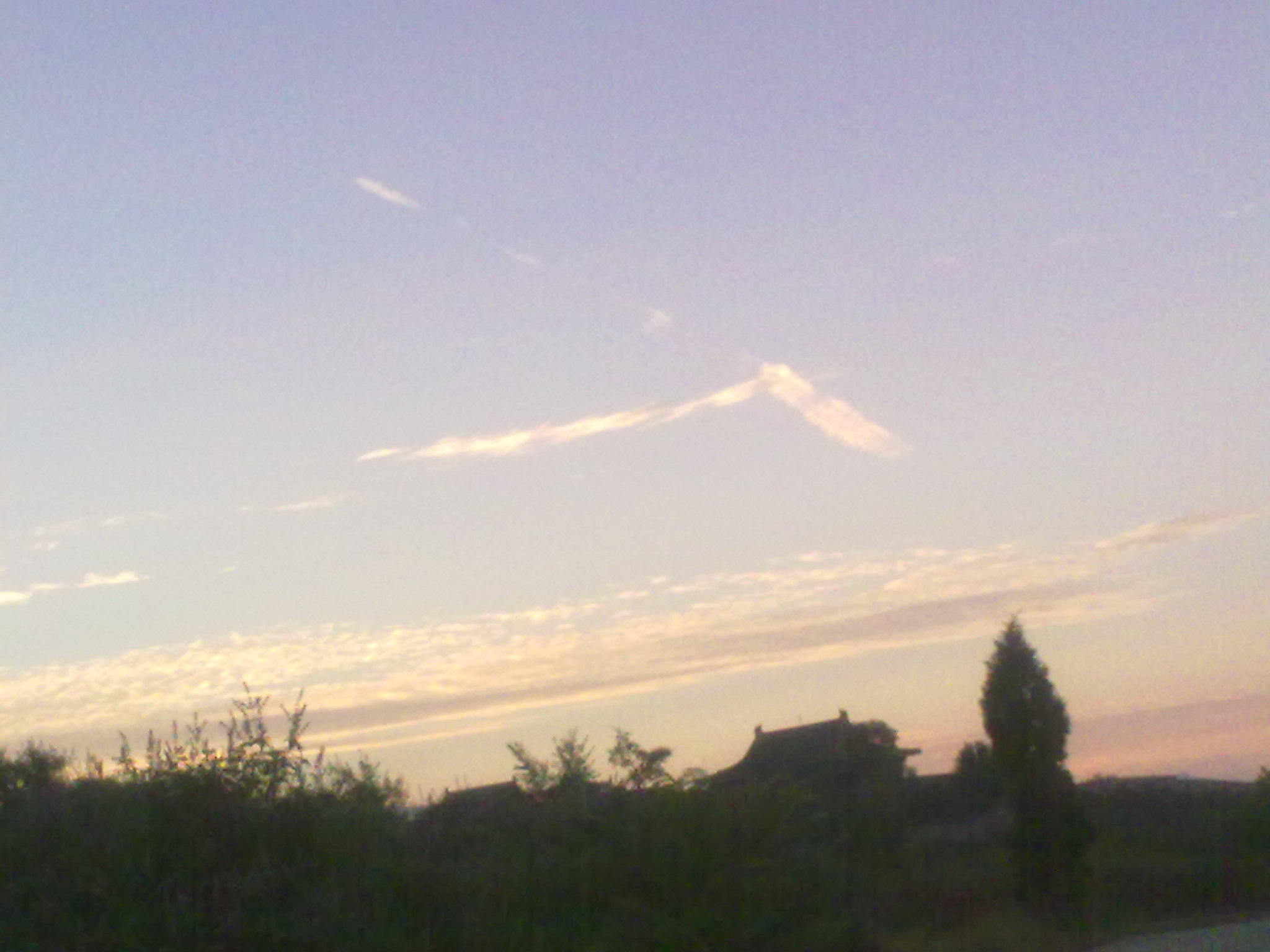 201007011263.jpg