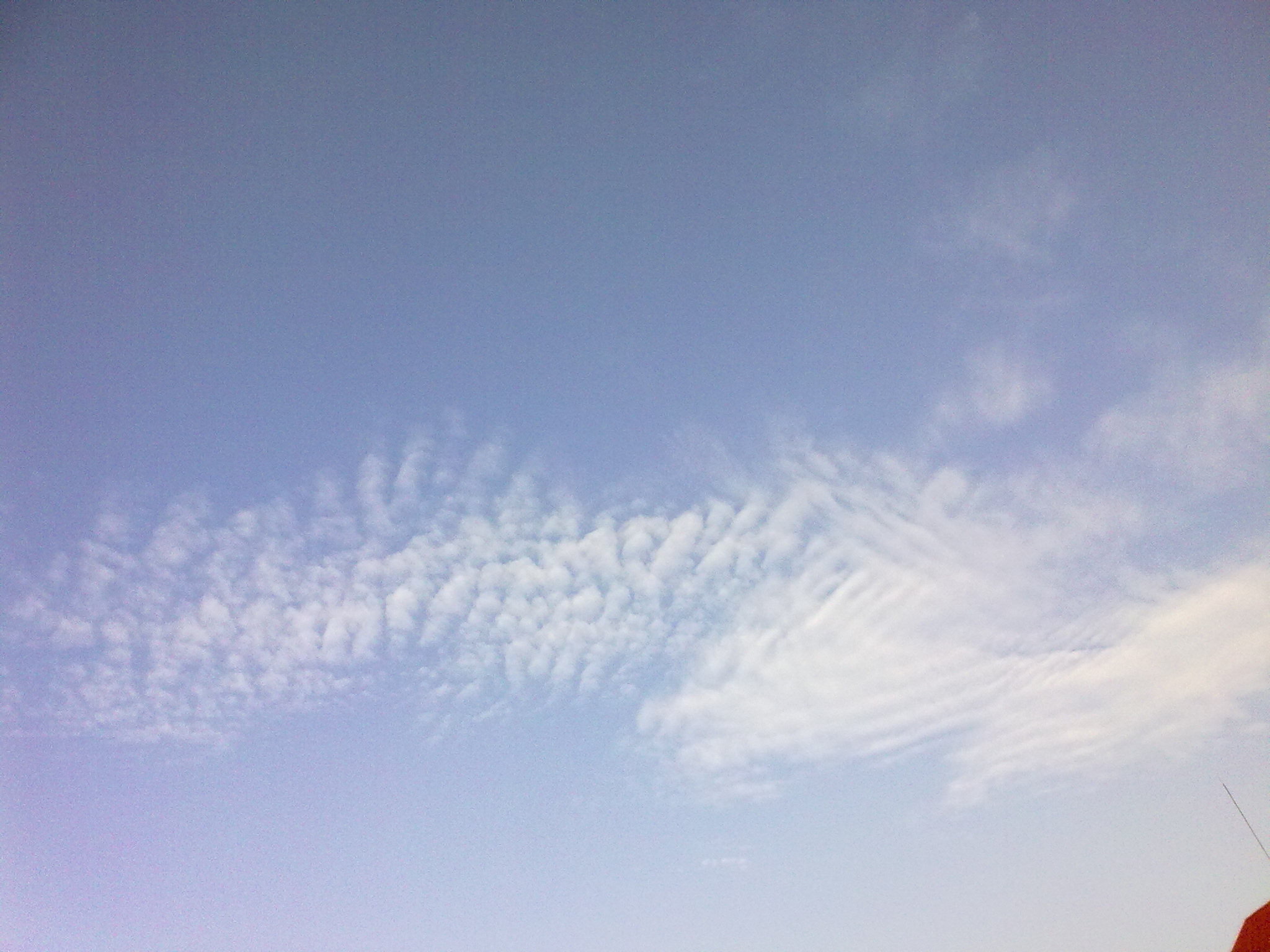 201007011257.jpg