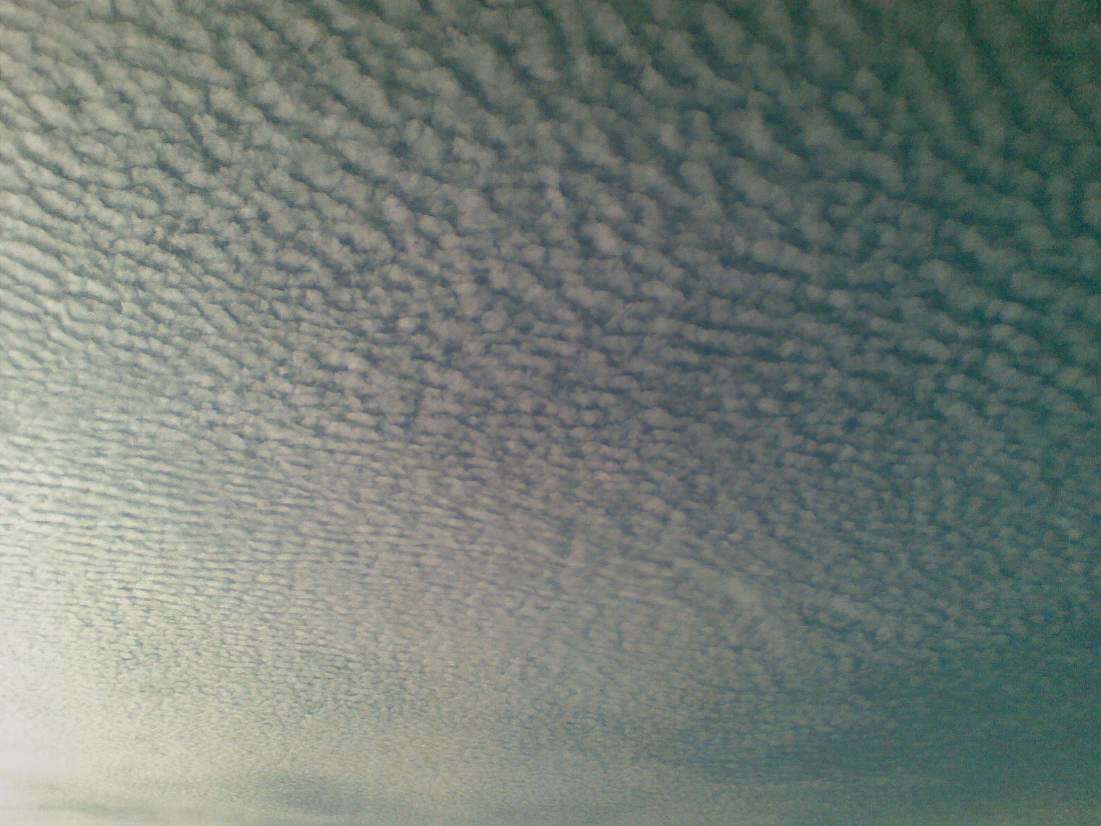 20100702(003).jpg