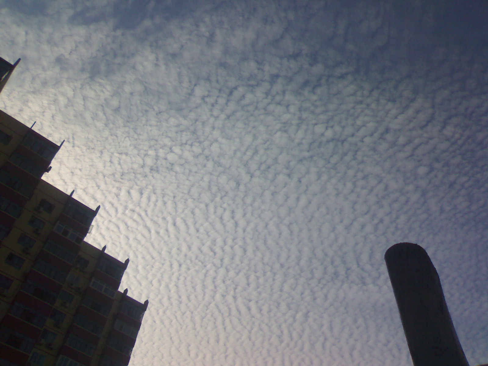 20100702011.jpg