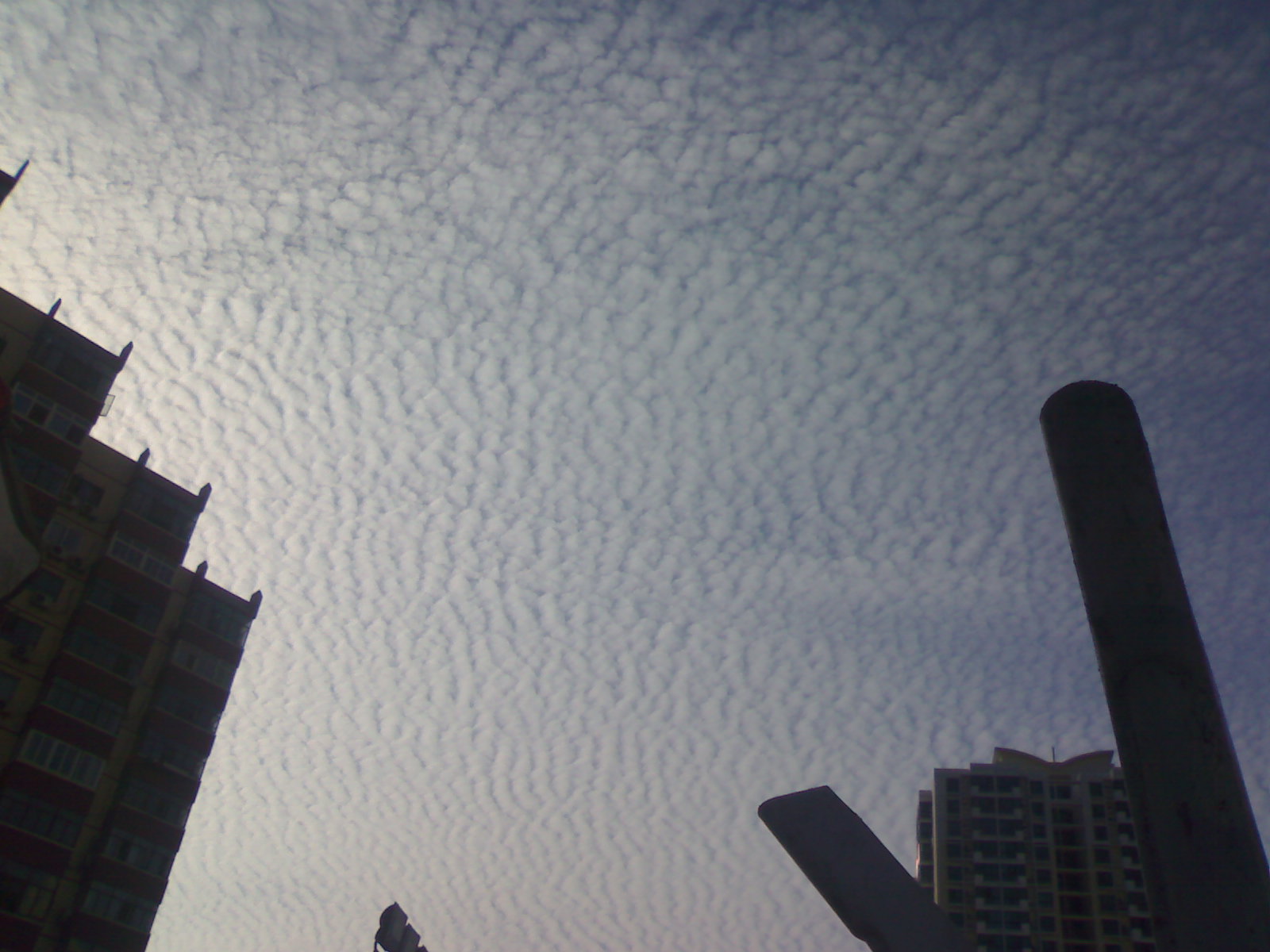 20100702012.jpg