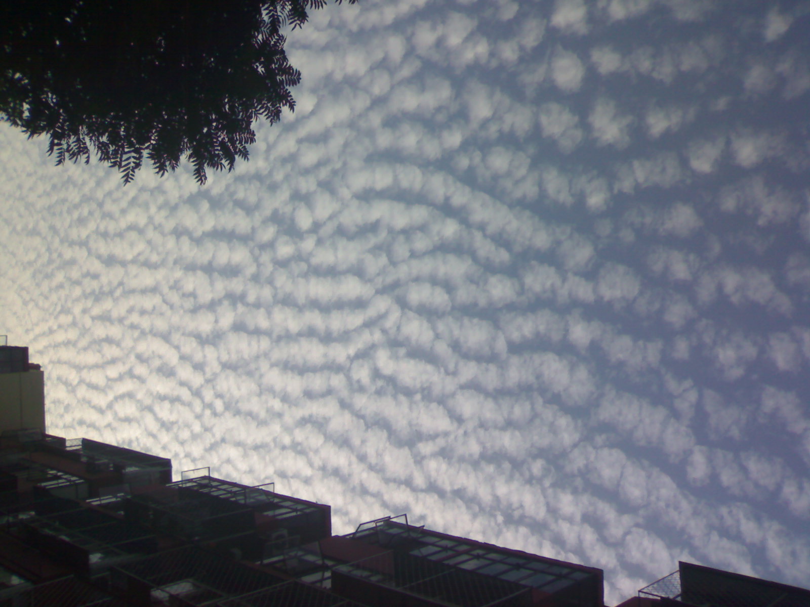 20100702019.jpg
