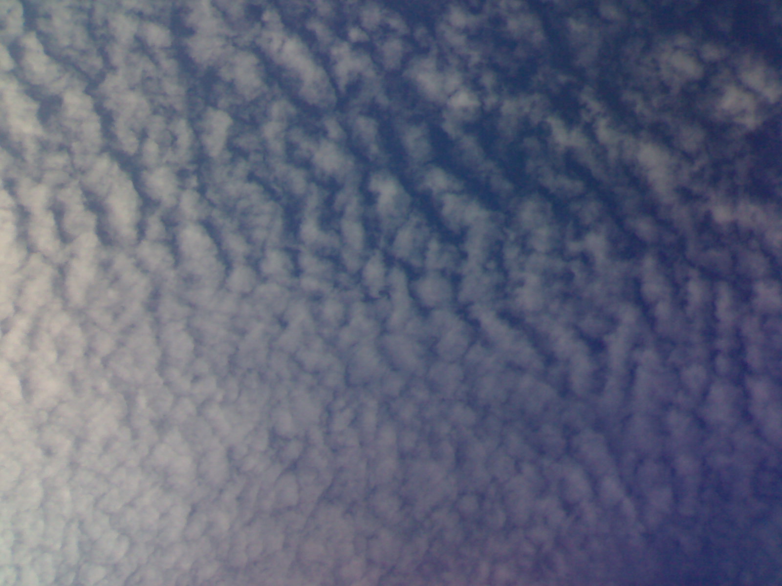 20100702018.jpg