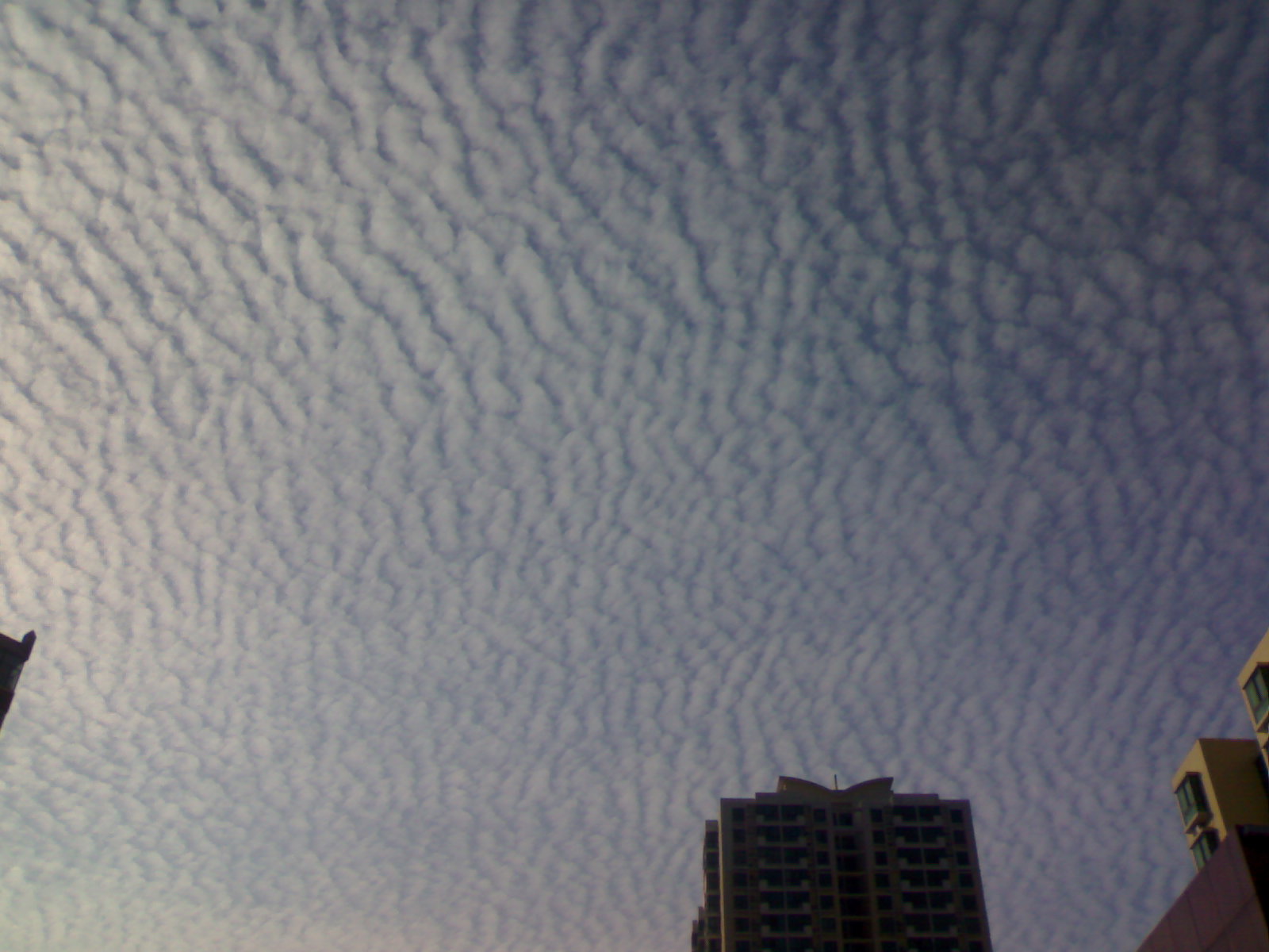 20100702017.jpg