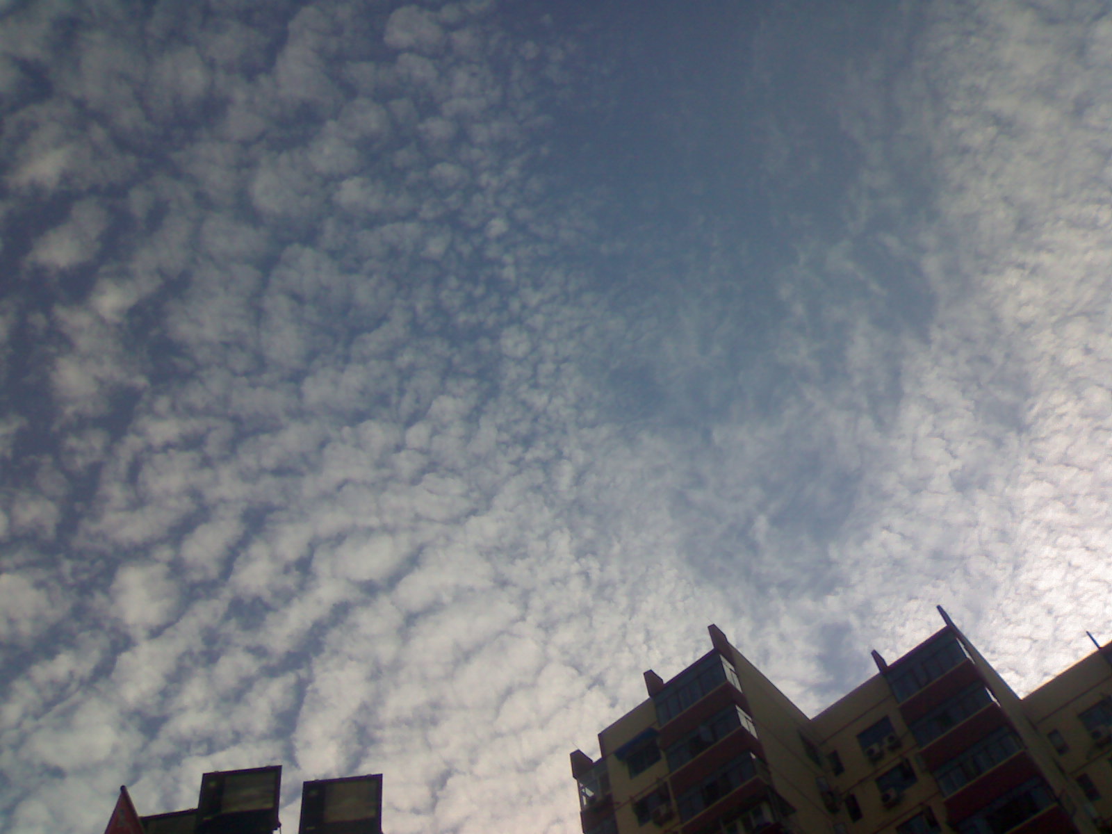 20100702013.jpg