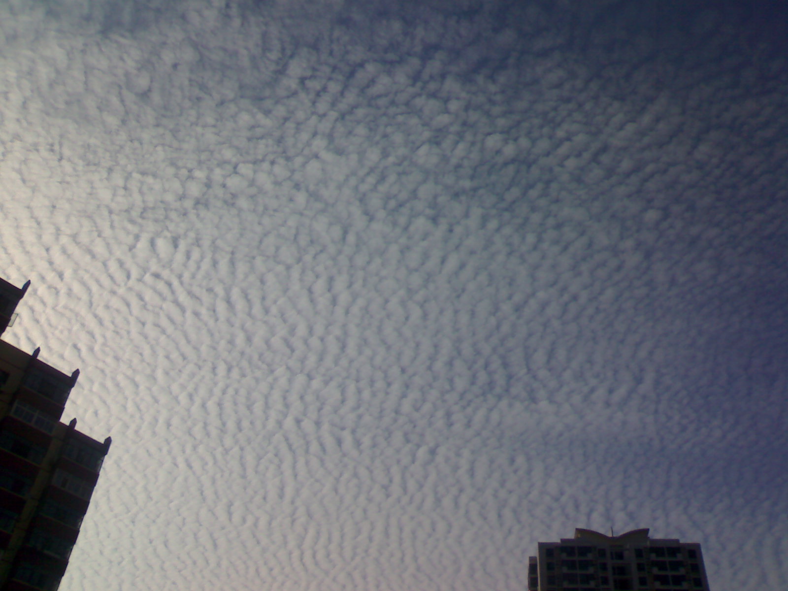 20100702014.jpg