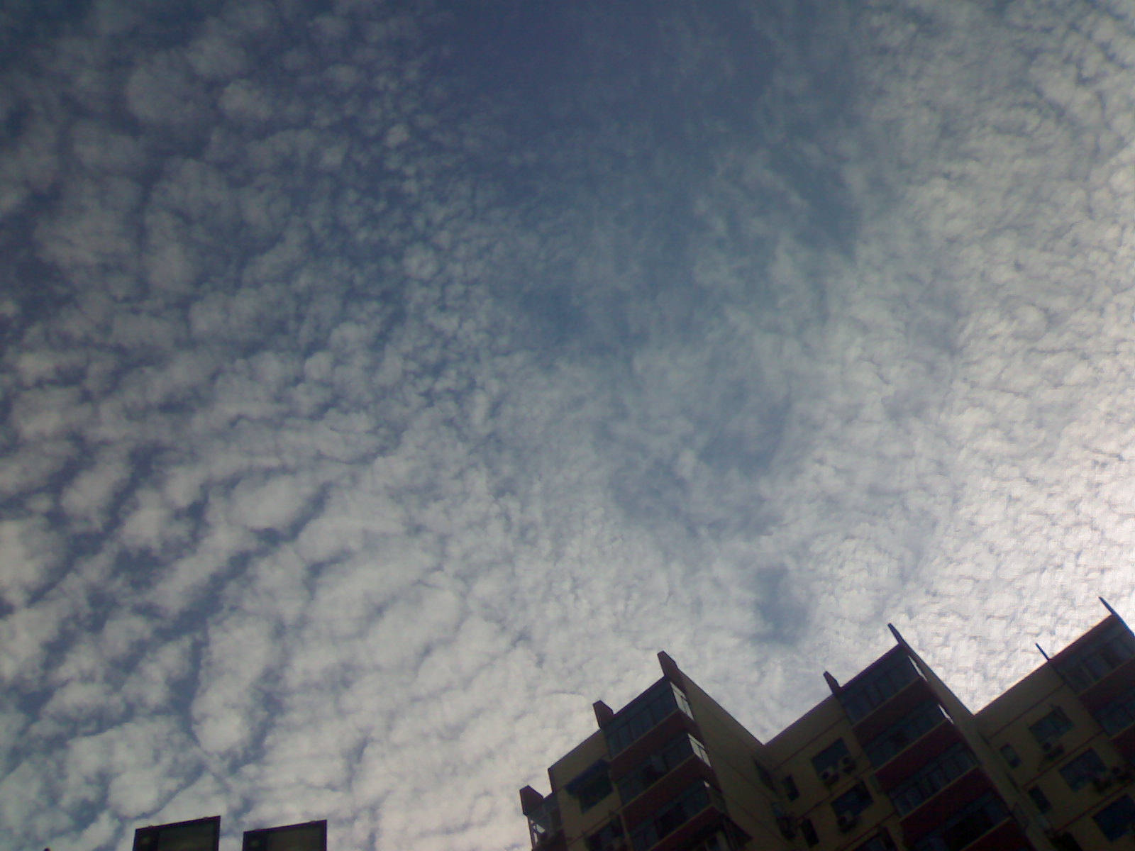 20100702015.jpg