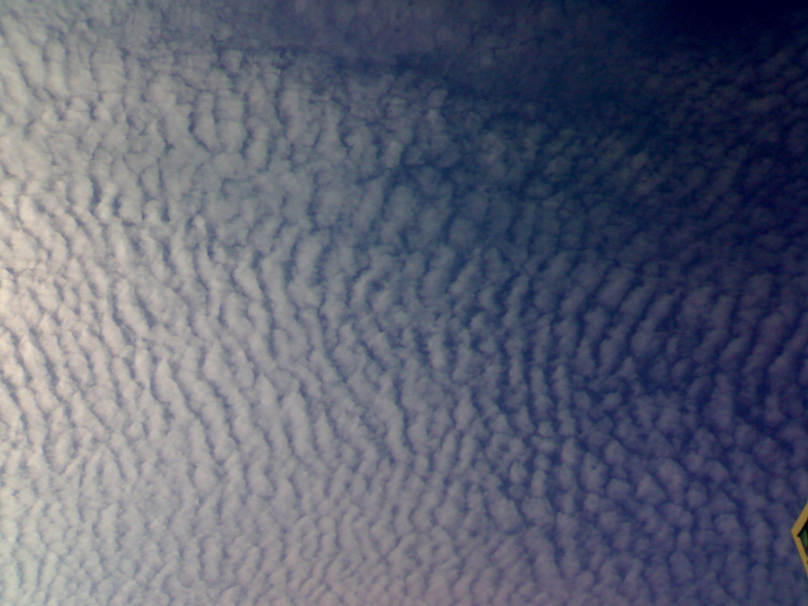 20100702016.jpg
