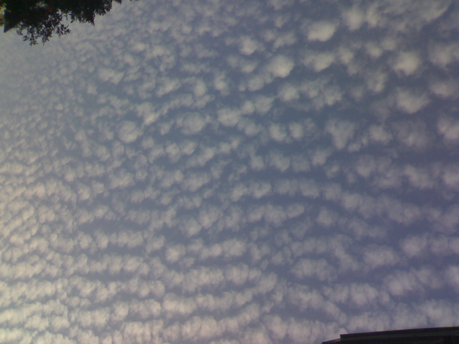 20100702020.jpg