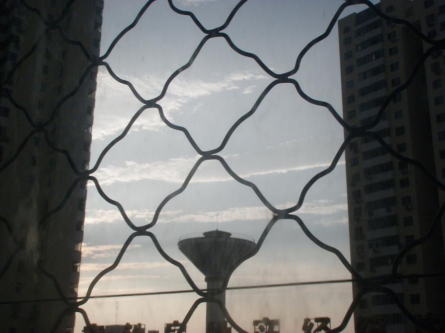 P7010374.JPG