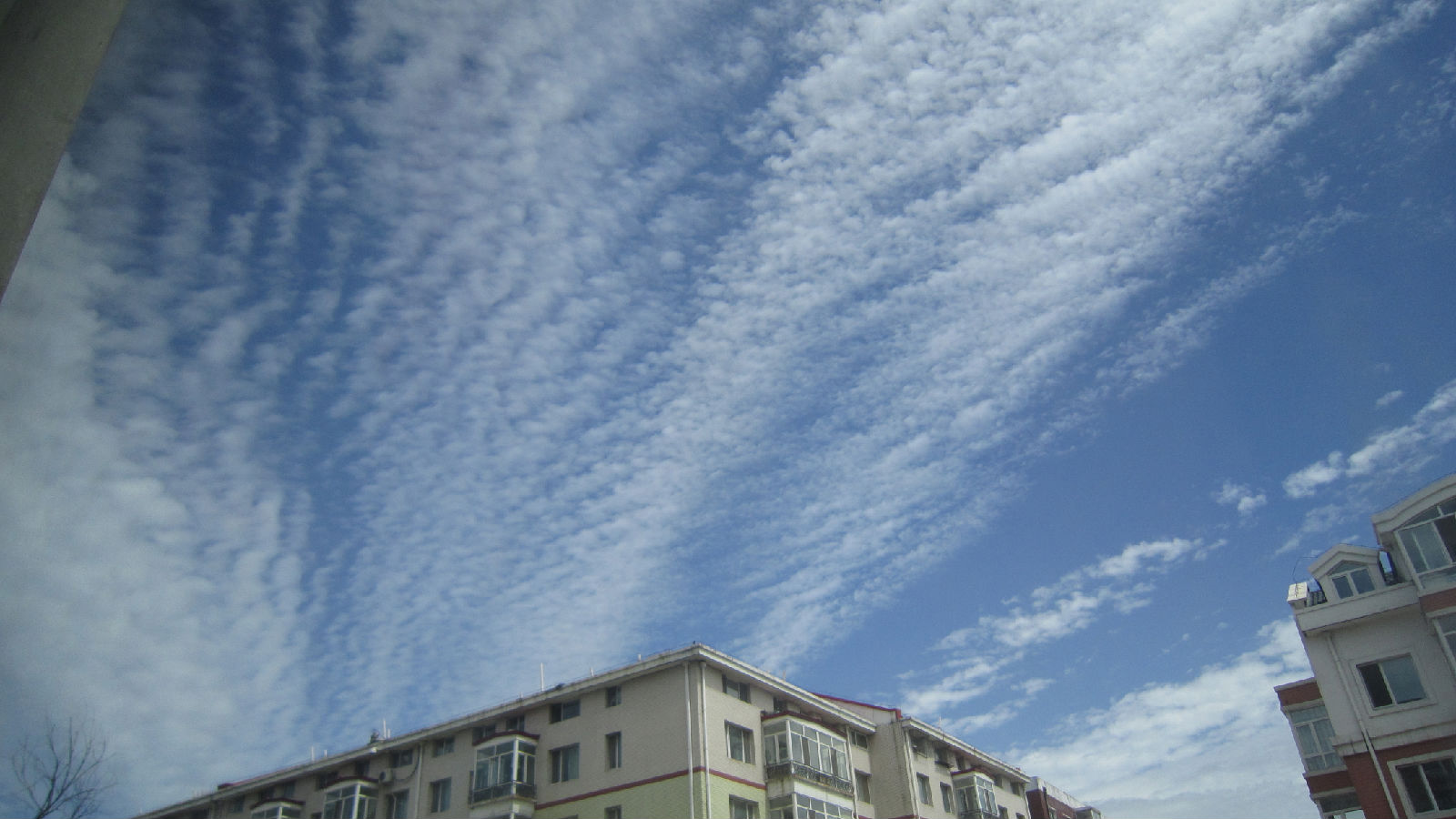 a4336ff409b887eea50f5244.jpg