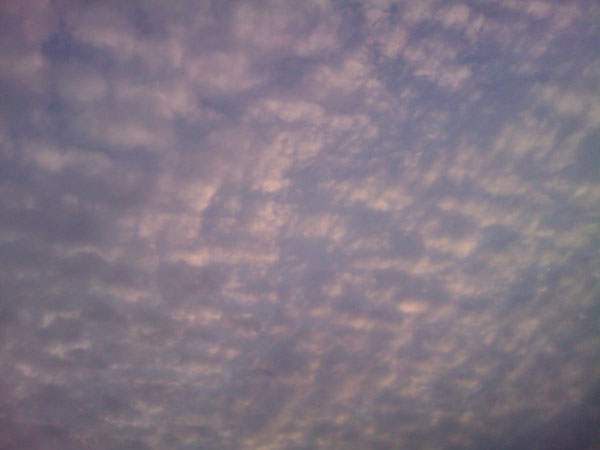 IMAG0040.jpg