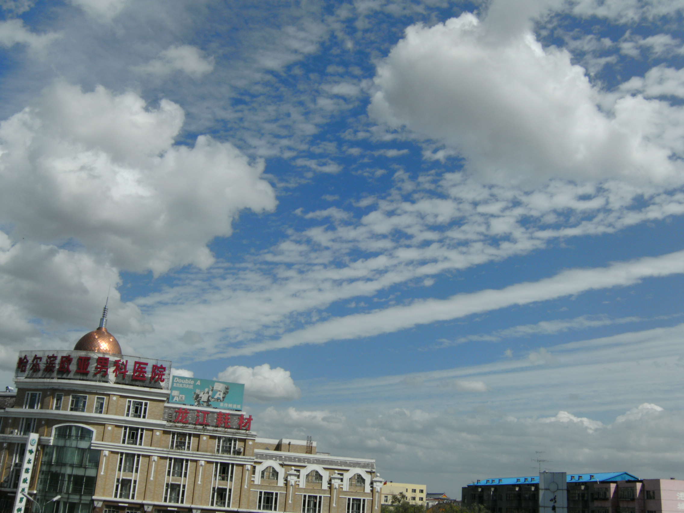 PICT0142.JPG