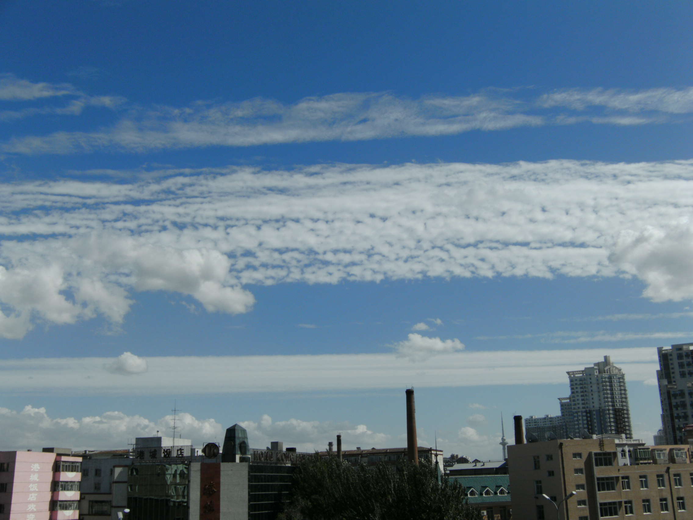 PICT0146.JPG
