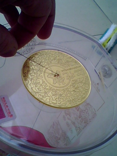IMG0537A_副本.jpg