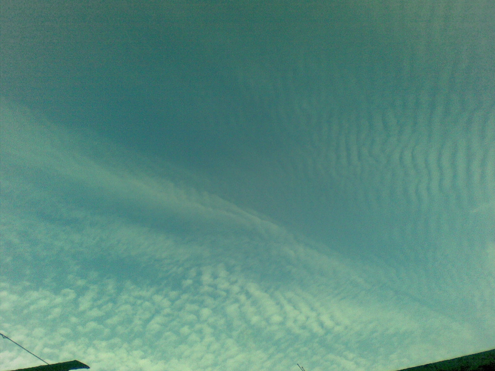 20100815(005).jpg