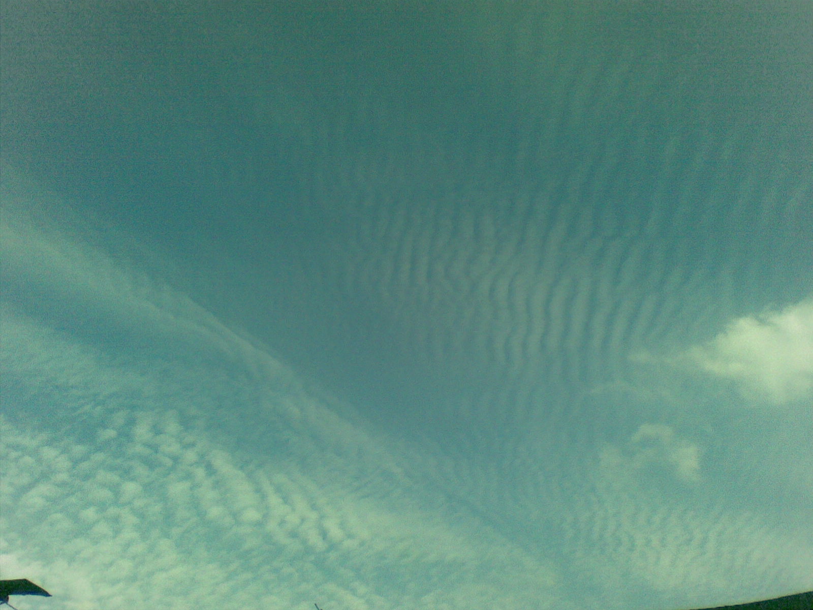 20100815(004).jpg