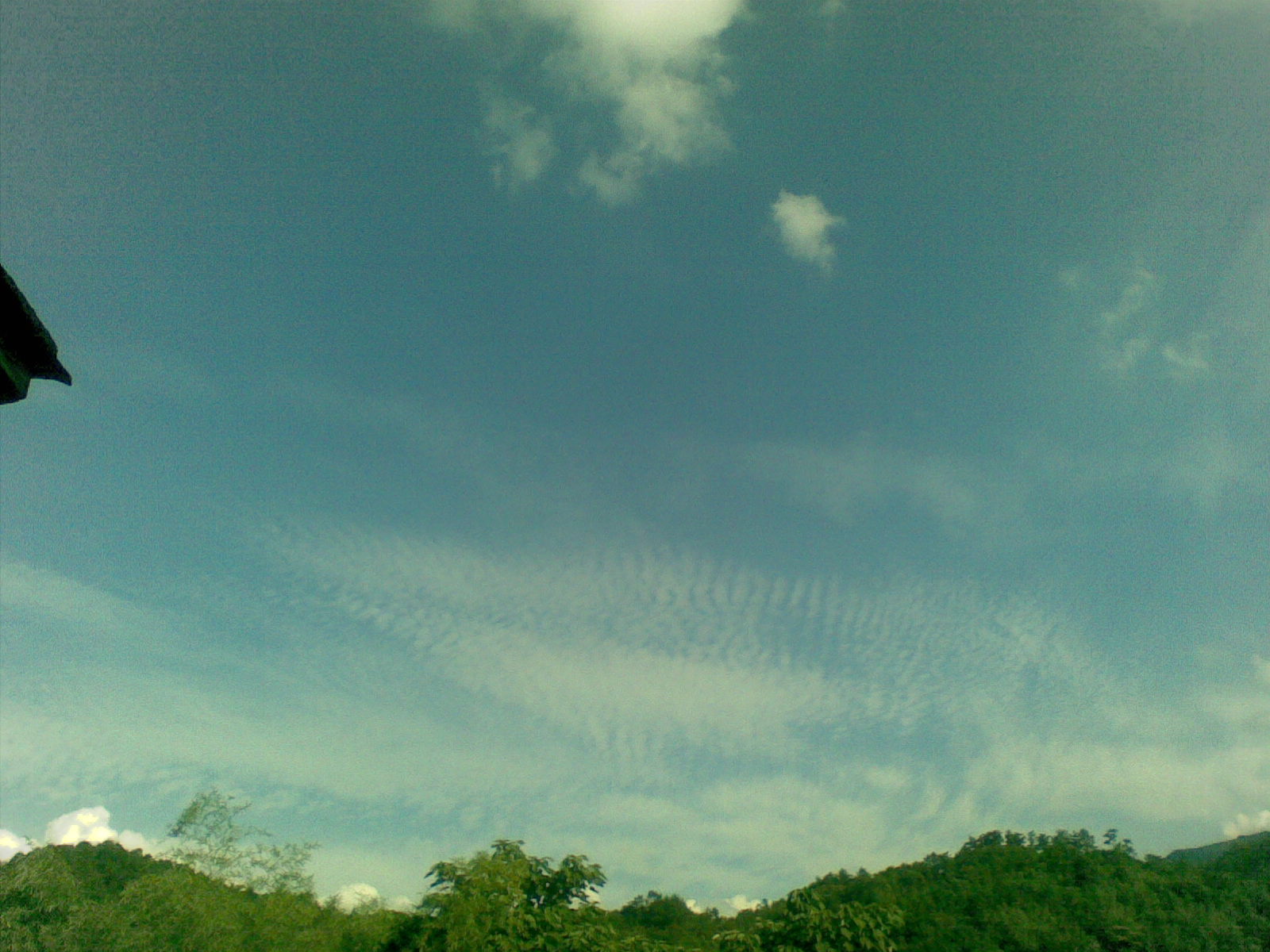20100815.jpg