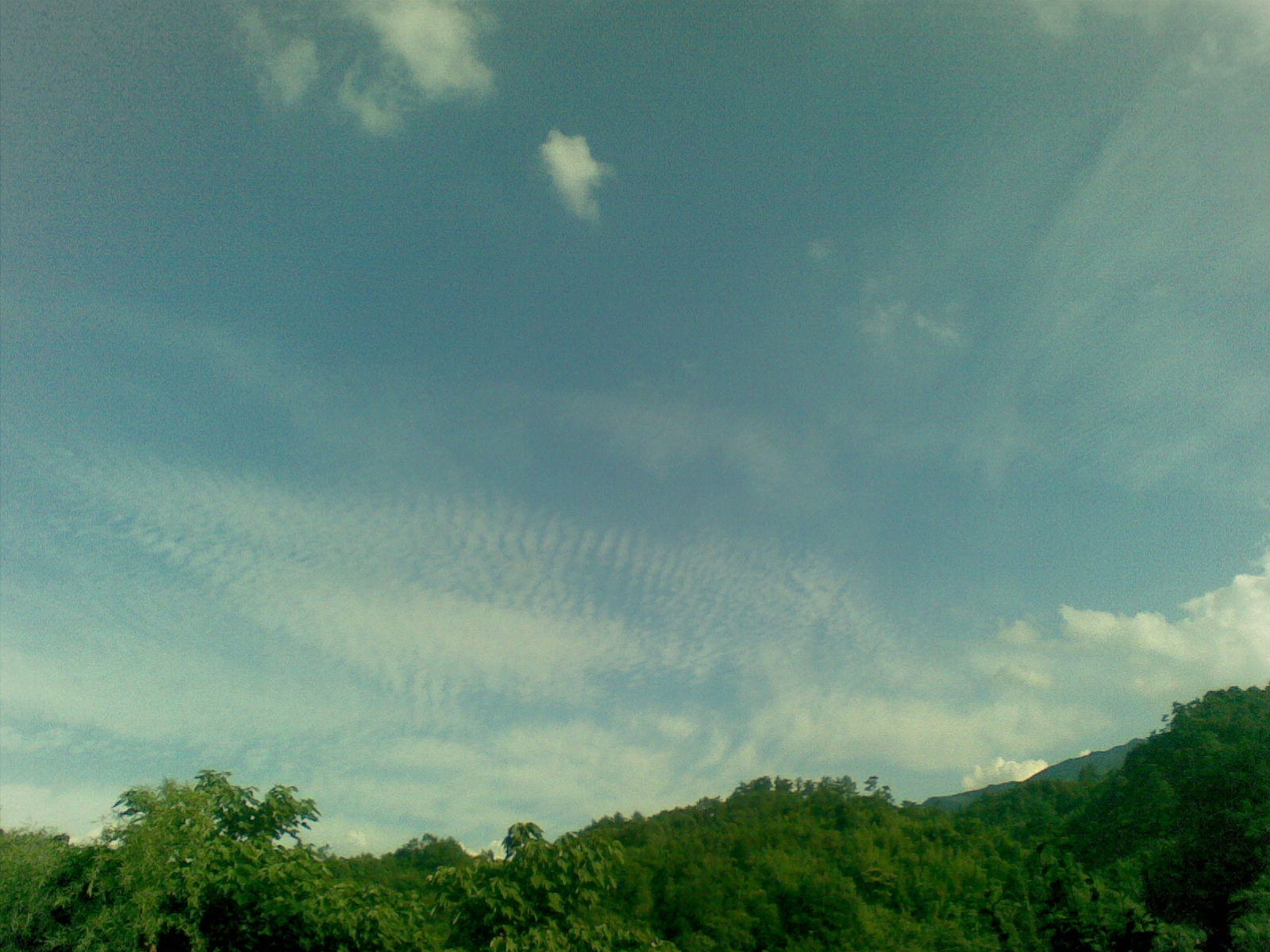 20100815(003).jpg
