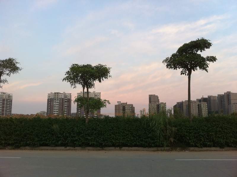照片 046.jpg
