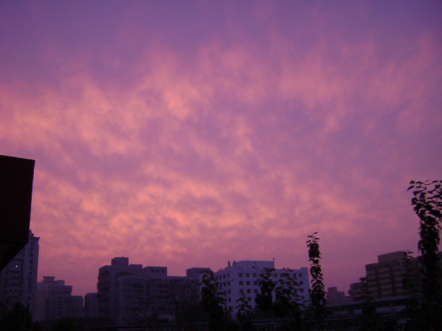 DSC00514.JPG