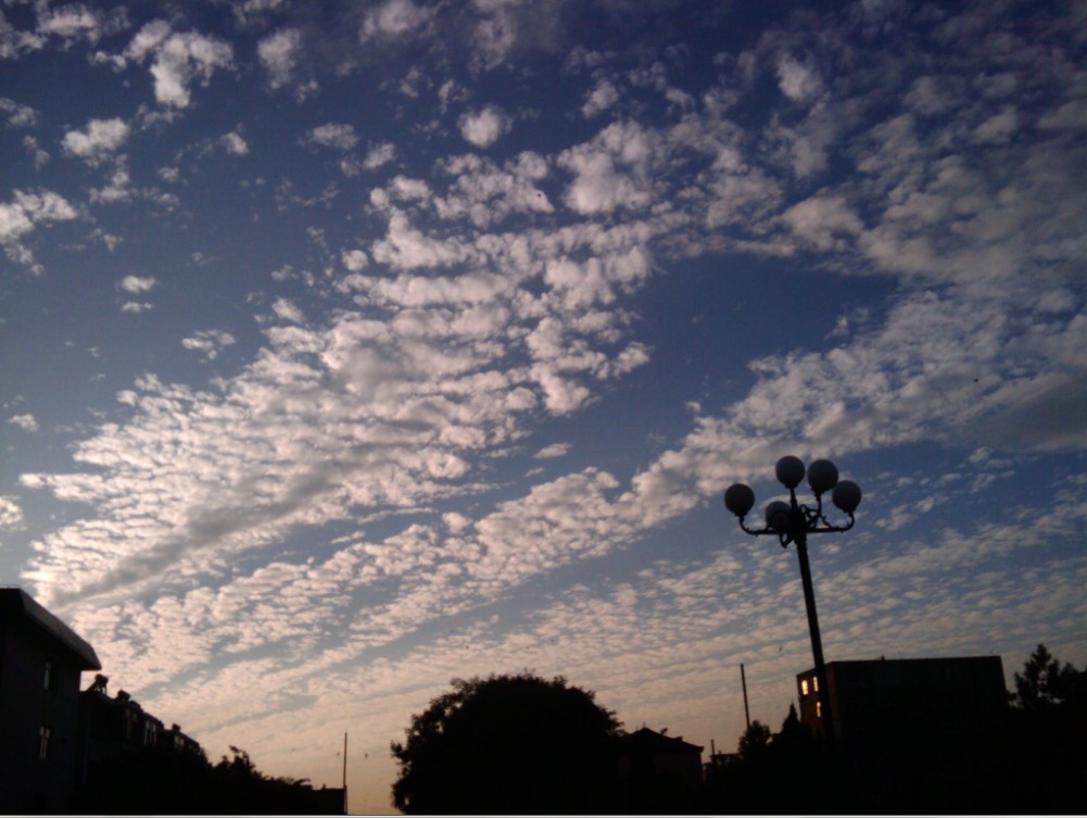 20100824 18.23.jpg