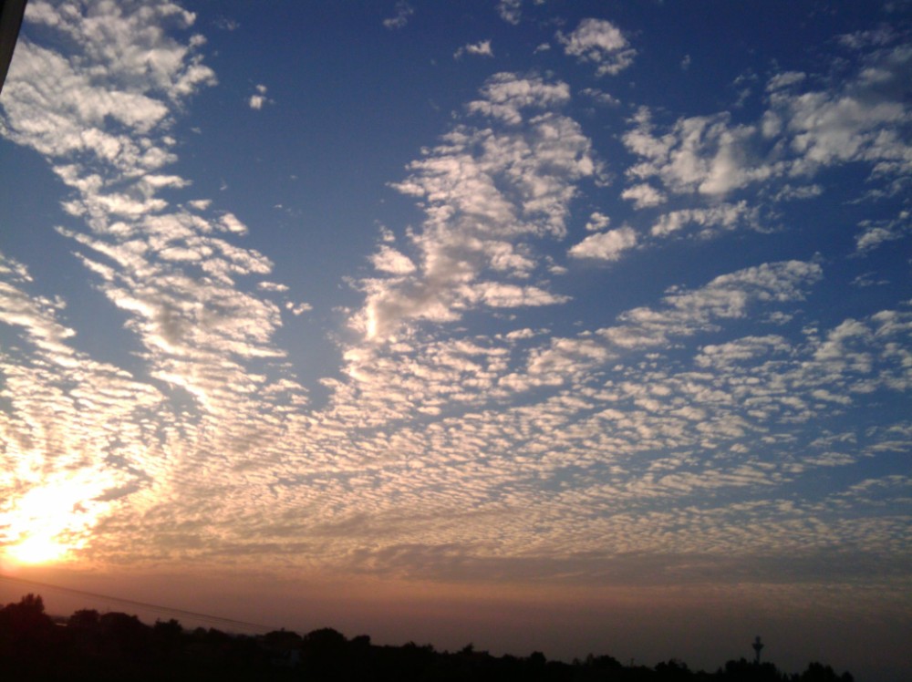 20100823182323.jpg