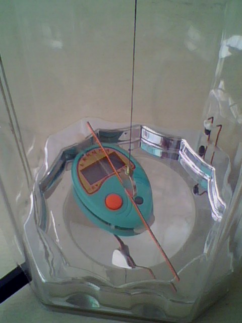 IMG0547A.jpg