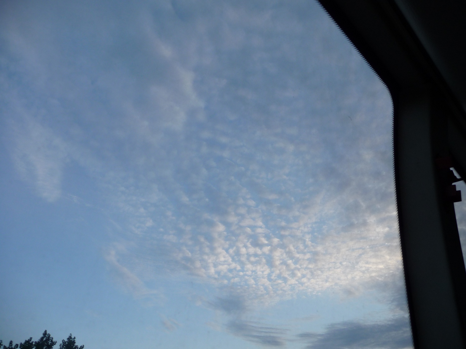 P1010183.jpg