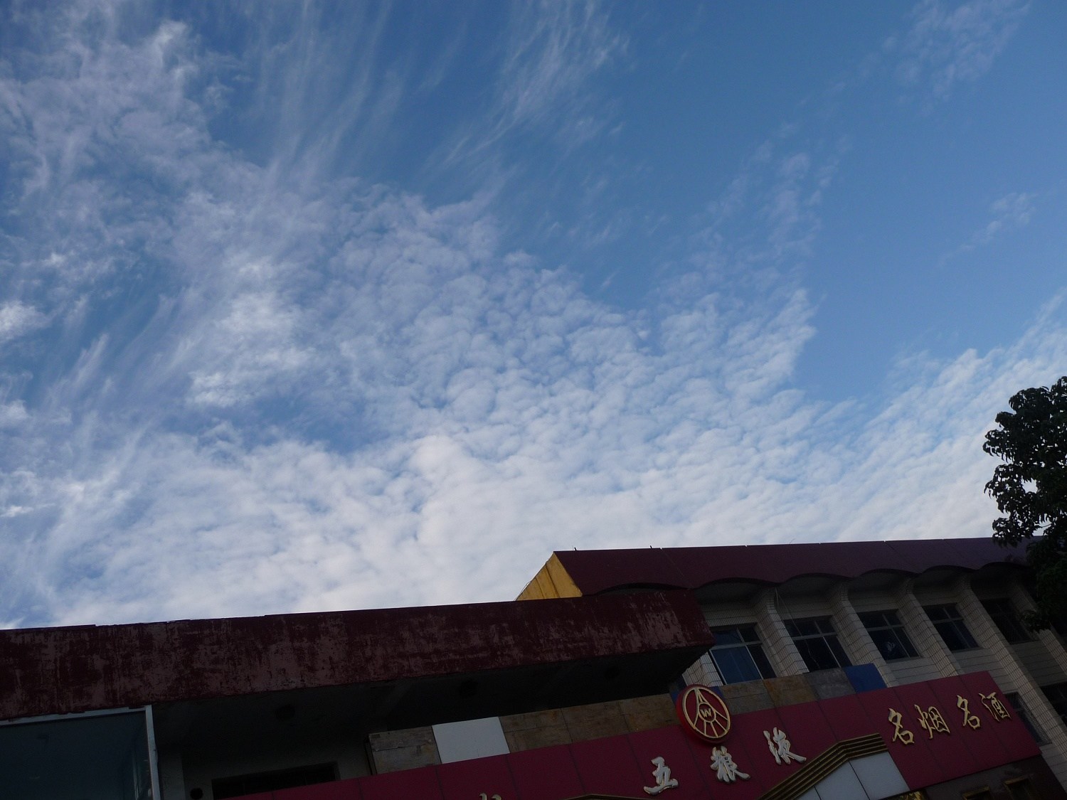 P1010186-0.jpg