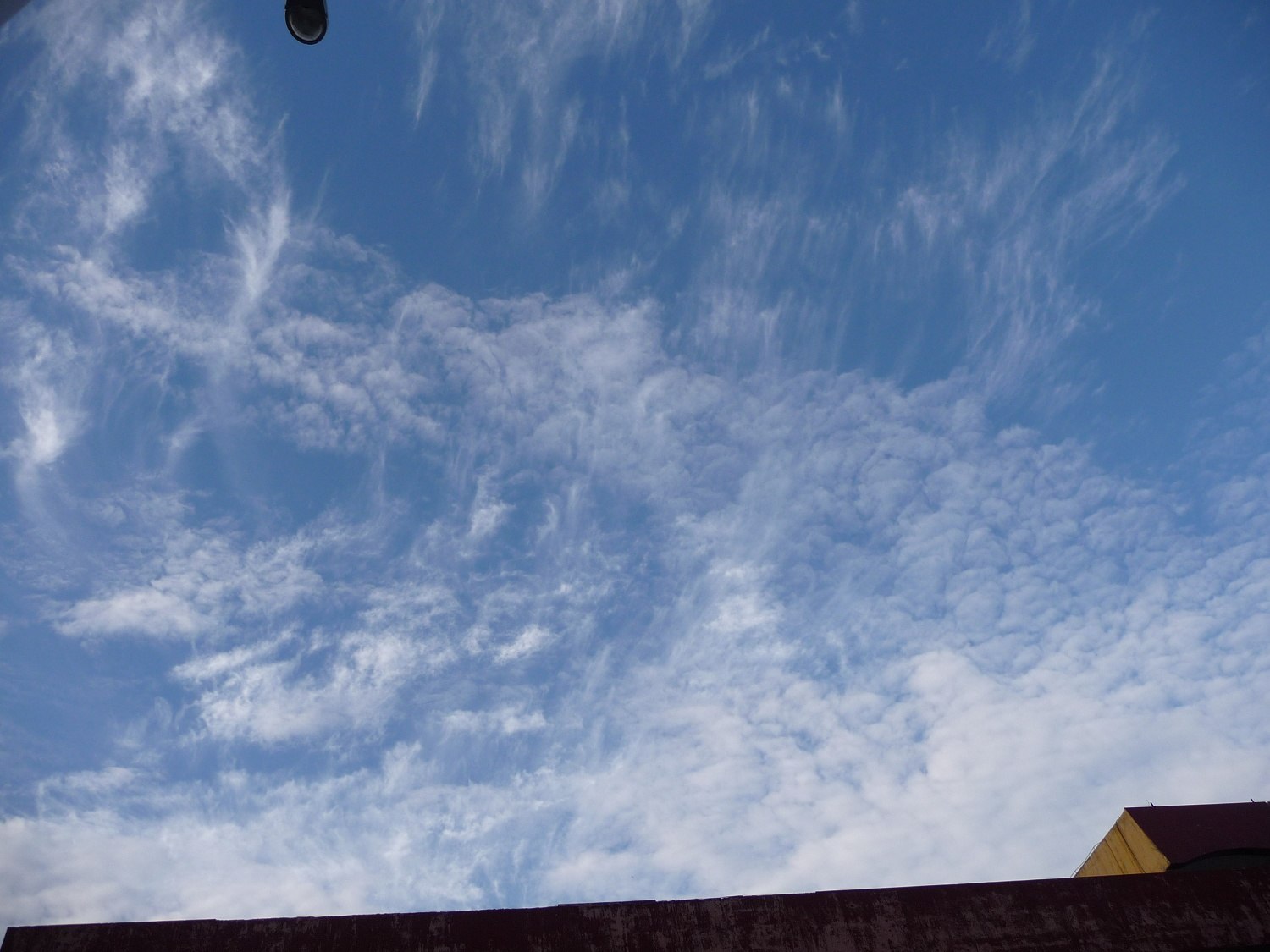 P1010184-0.jpg