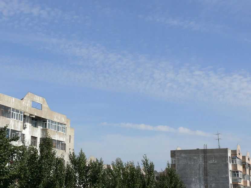 P1040927.jpg