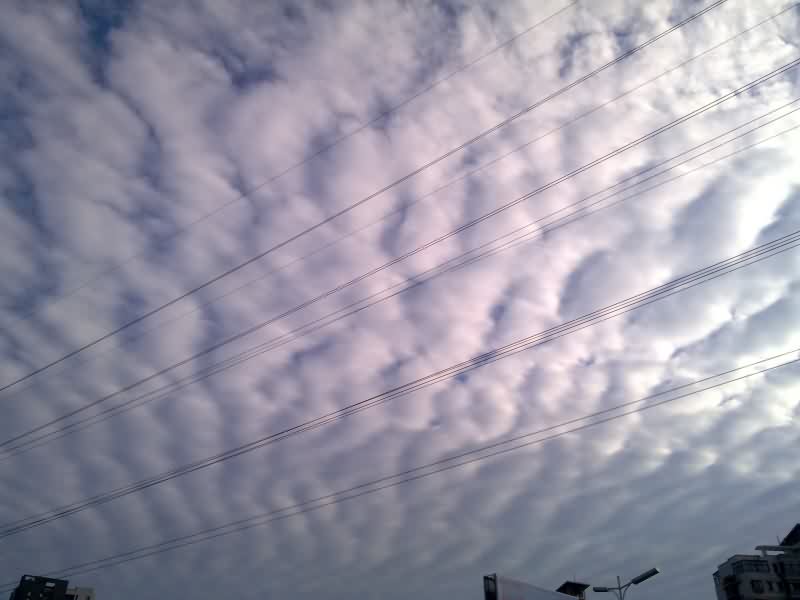 20100925995z.jpg